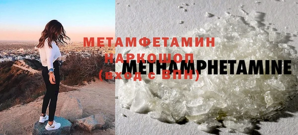 прущие грибы Волоколамск