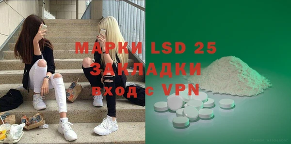 PSILOCYBIN Волосово