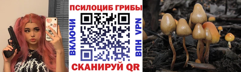 как найти закладки  Верея  Псилоцибиновые грибы прущие грибы 